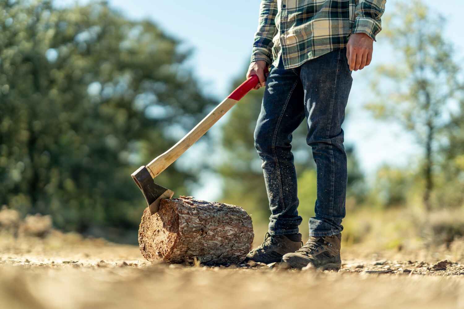 Best Tree Removal Near Me  in Chaffee, MO